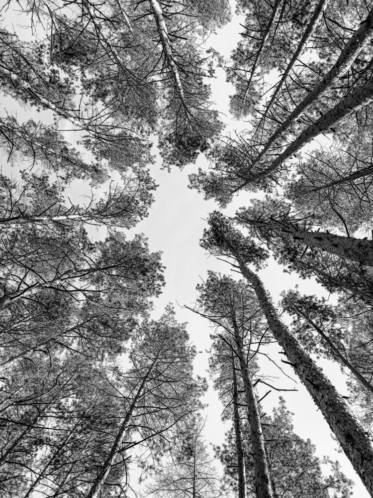 Photograph by Ирина