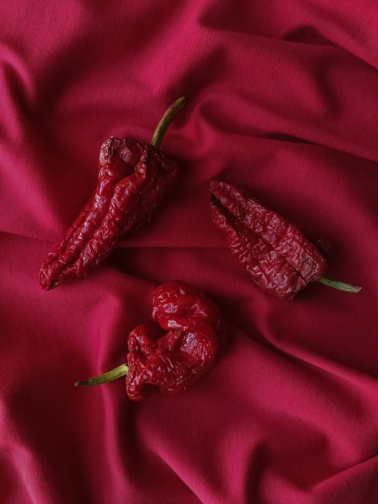 Photograph by Ирина