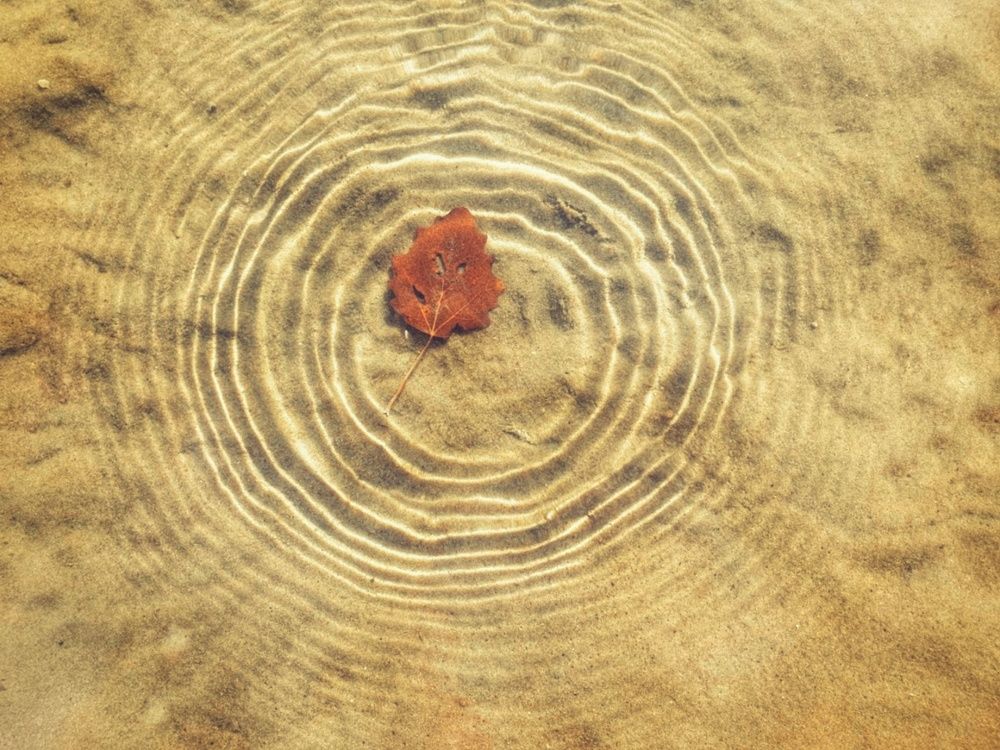 Фотография автора Марина Спильнык