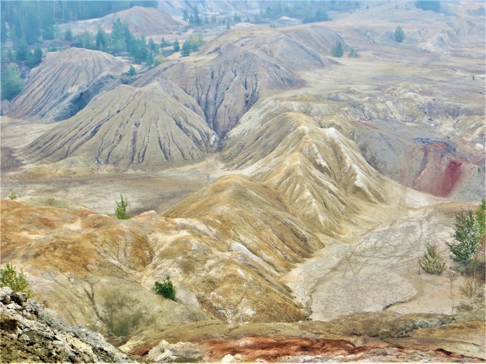 Photograph by Галина