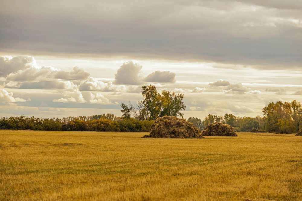 Фотография автора Денис Краснощеков