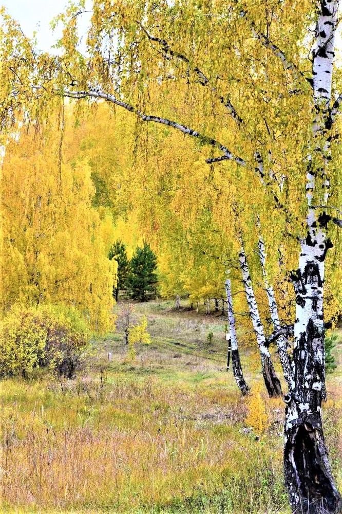 Photograph by Галина