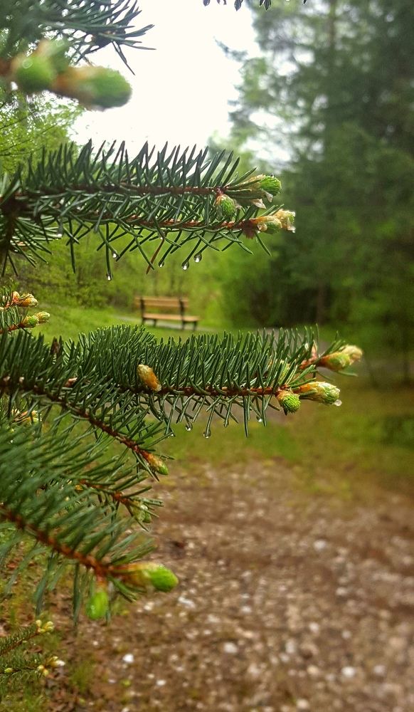 Photograph by Ольга