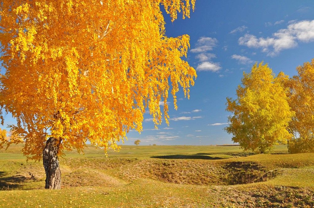Золото осени