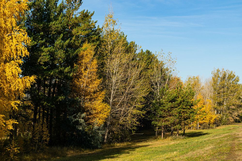 Фотография автора Денис Краснощеков