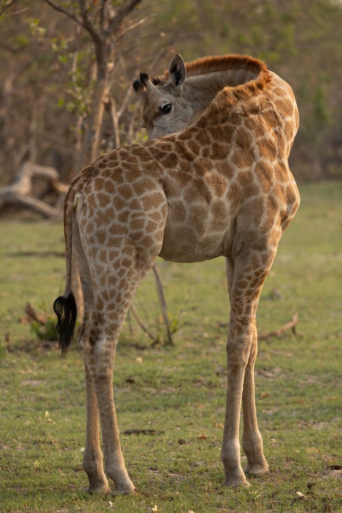 Photograph by Raquel Barao