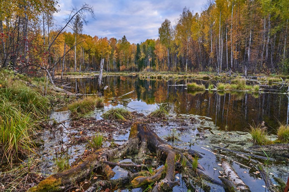 Photograph by Андрей Колеватов