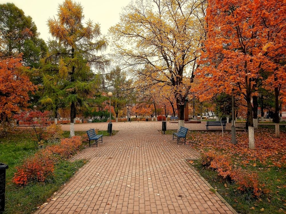 Фотография автора Ольга Малкова