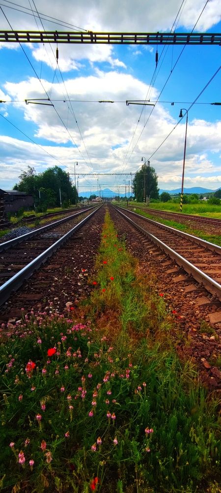 Photo #6577205