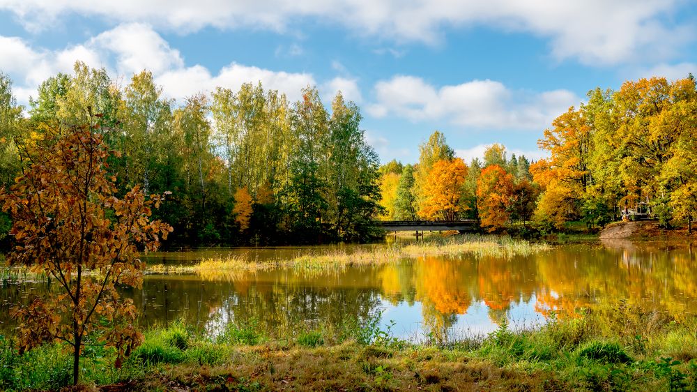 Photograph by Юрий Бичеров