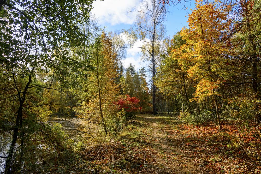 Photograph by Юрий Бичеров