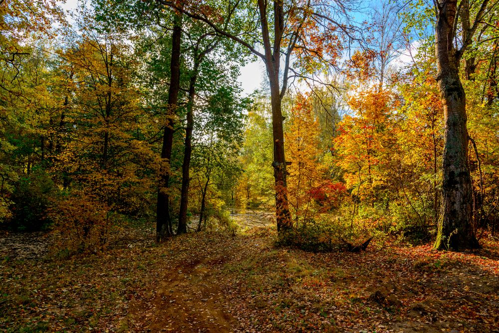 Photograph by Юрий Бичеров