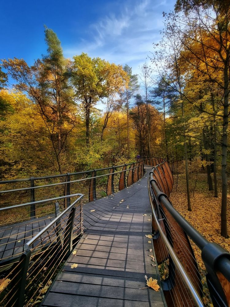 Photograph by Redjulia