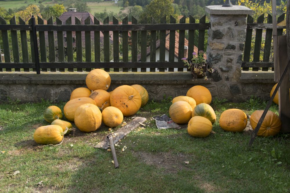 Photograph by Павел Седиков