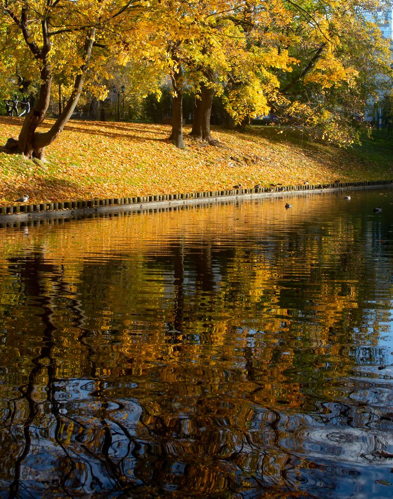 Photograph by Viktor Makarov