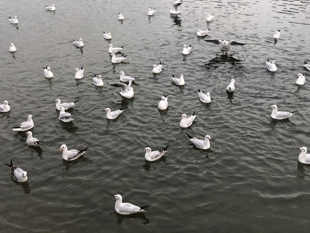 Photograph by Майра Али