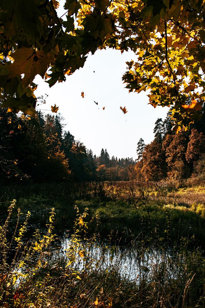 Photograph by Людмила Леонтьева