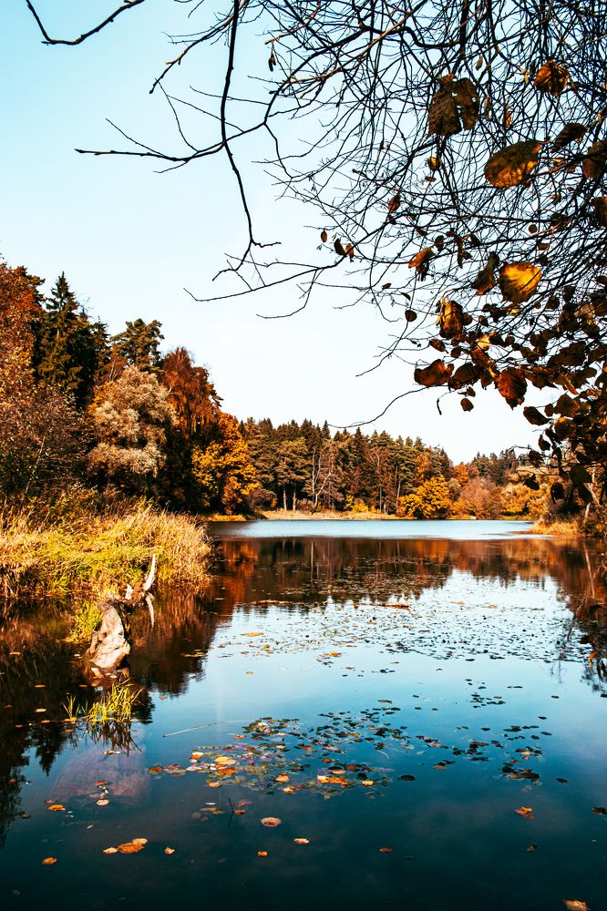 Photograph by Людмила Леонтьева