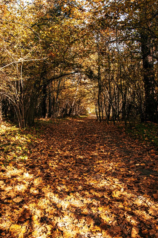 Photograph by Людмила Леонтьева