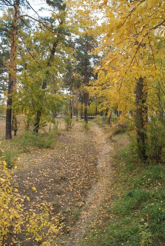 Photograph by Александра Бардамова