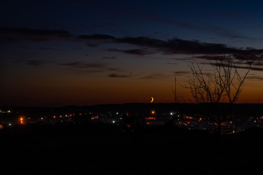 Photograph by Светлана