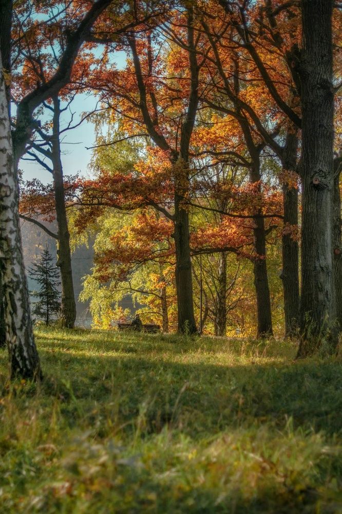 Photograph by Redjulia