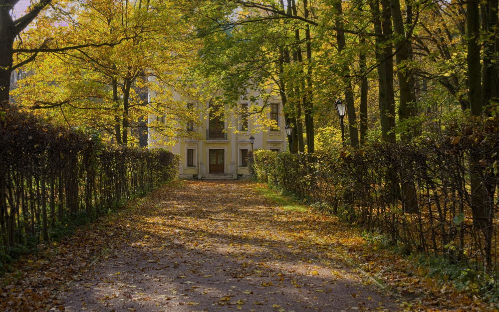 Аллея к дому