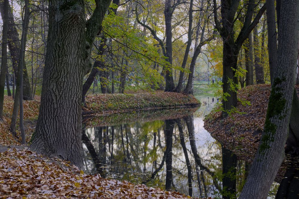 Осенний парк