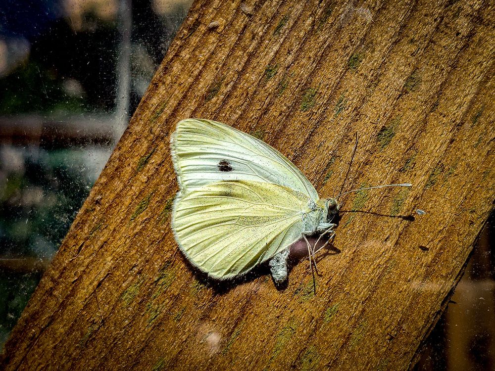 Photograph by Дмитрий Малышев