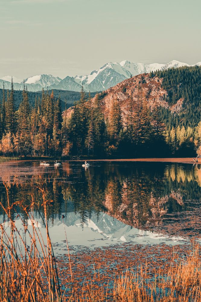 Photograph by Сергей Андрейчук