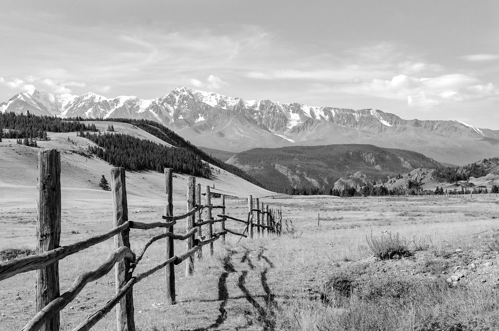 Photograph by Сергей Андрейчук