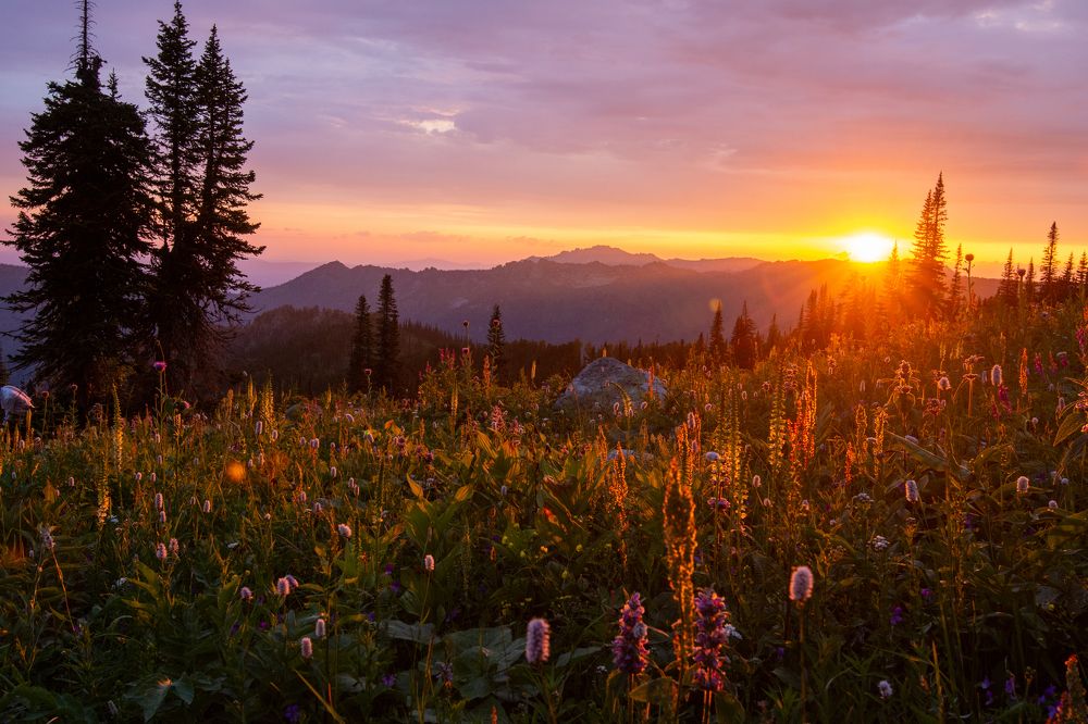 Фотография автора Петр Косачев