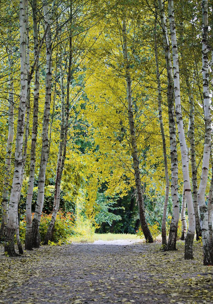 Photograph by Елена Атаманчук