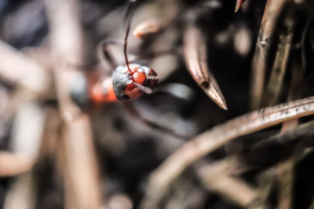 Photograph by Денис Геранькин