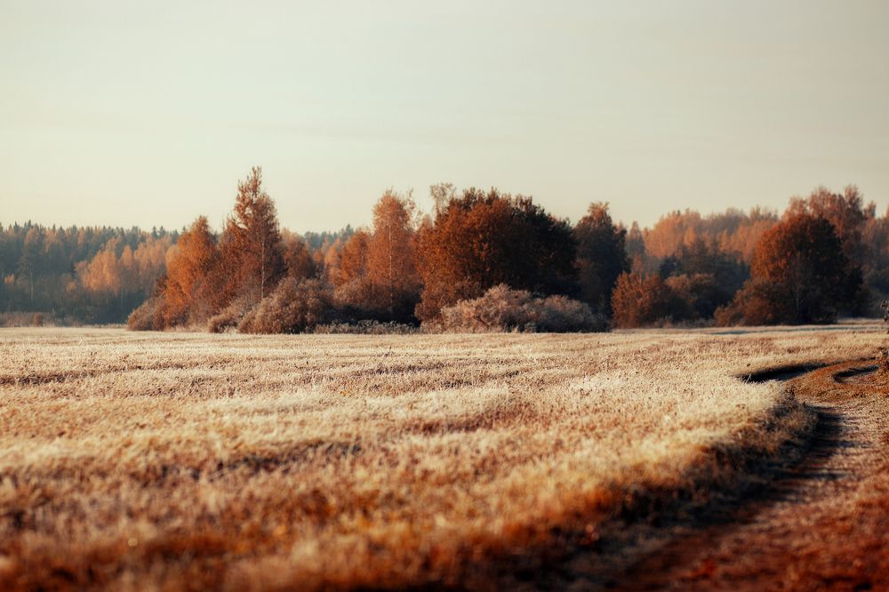 Фотография автора Юлия Фроленко