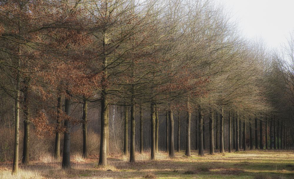 Photograph by Jacky Weckx