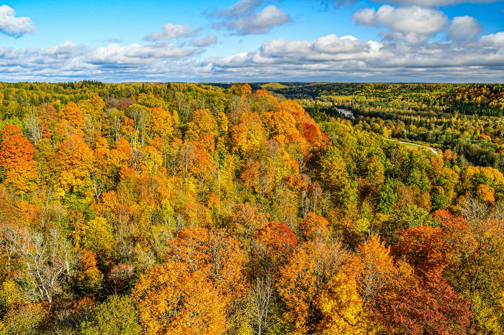 Photograph by AVIC A.M.