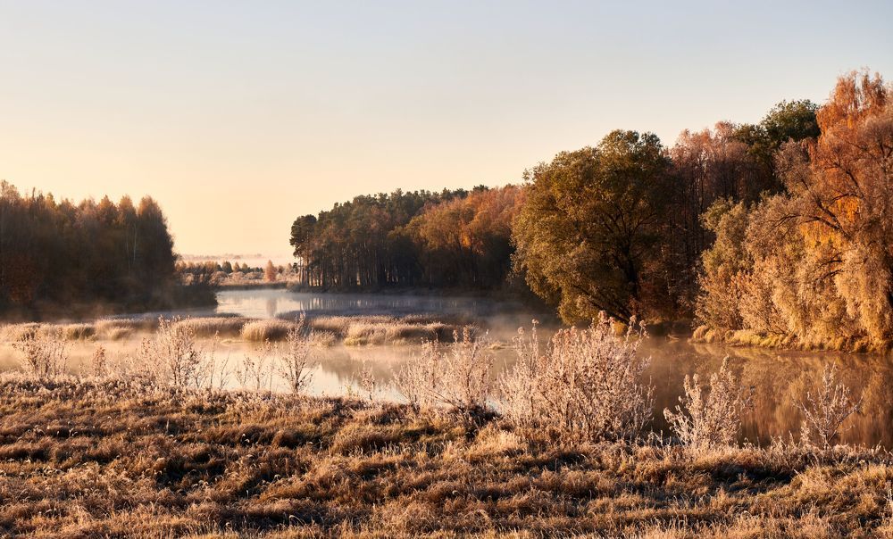 Узоры и краски осени.