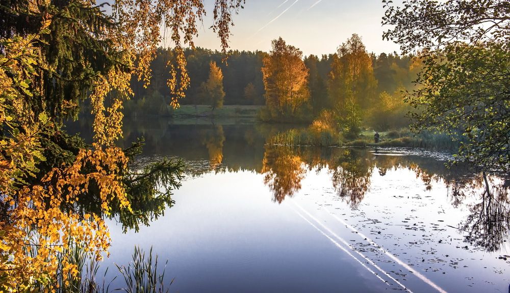 Свет осеннего утра.