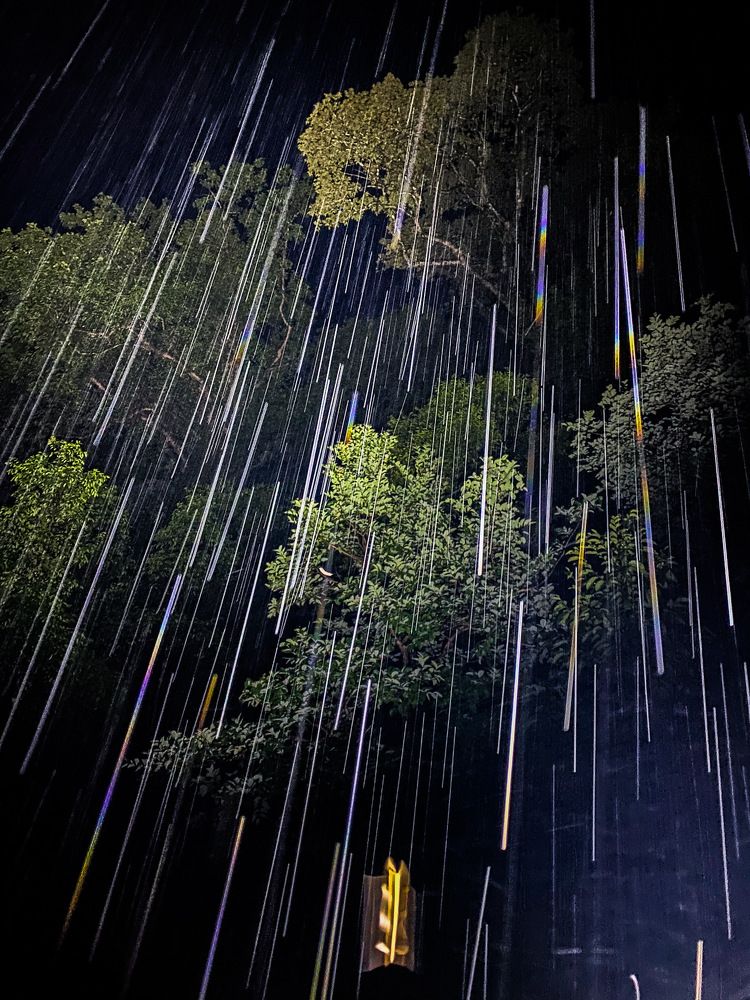 Photograph by Kalyan Chakraborty