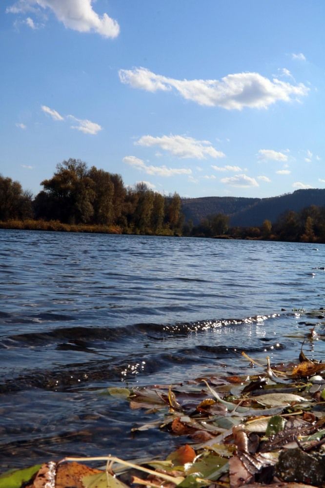 Photograph by Kseniya Panova