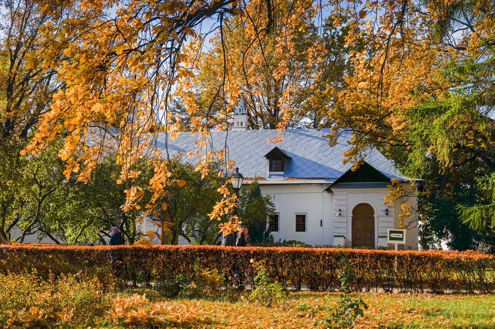 Новодевичий монастырь