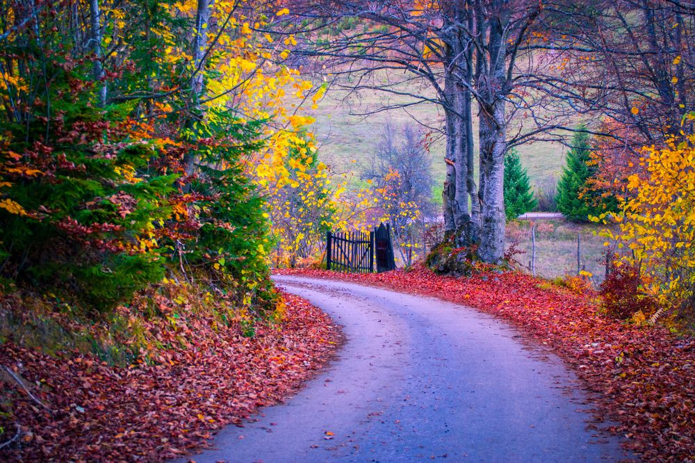 Photograph by Fatmir Bajrovic