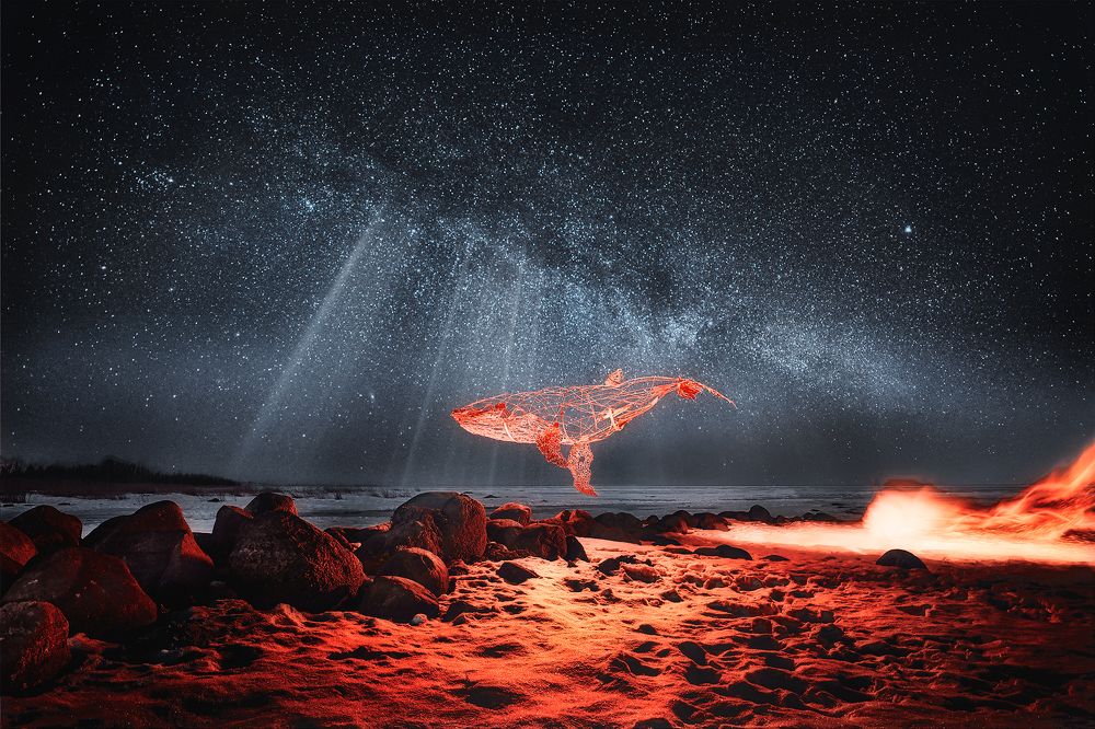 Фотография автора Максим