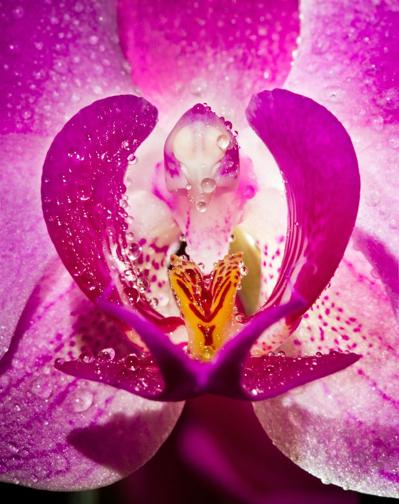 Photograph by Aleksei Kazakov