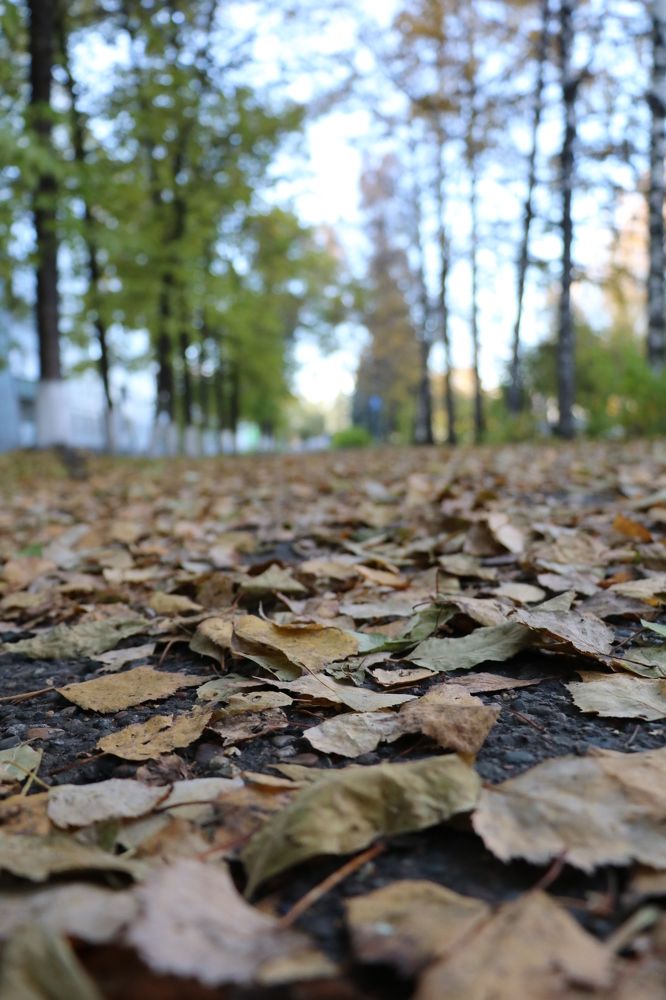 Photograph by Kseniya Panova