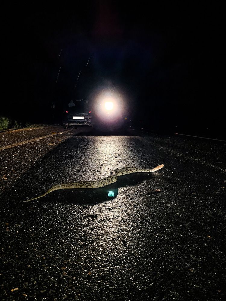 Photograph by Kalyan Chakraborty