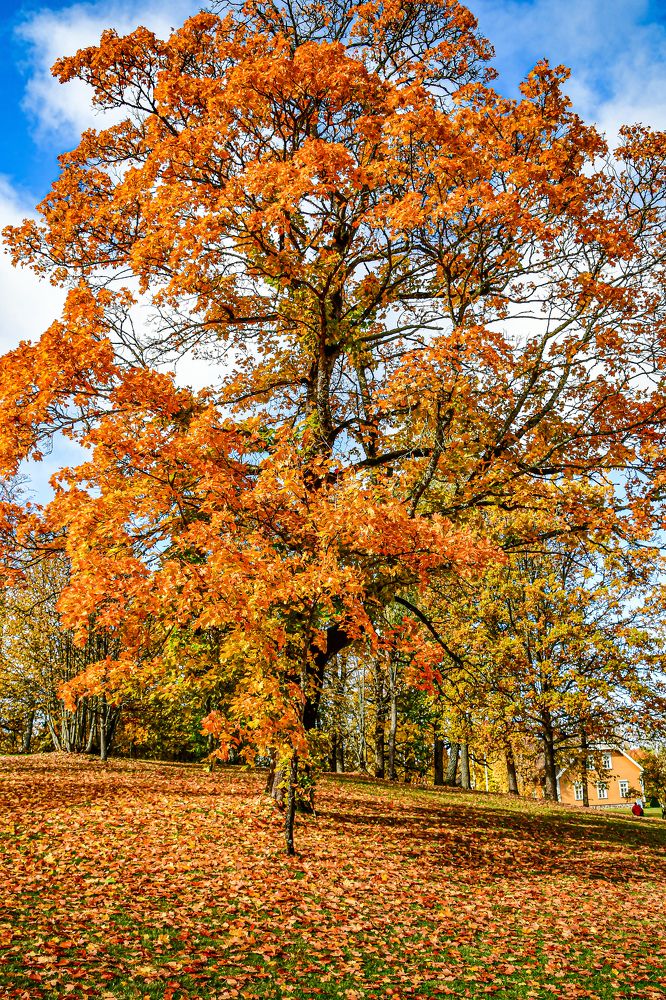 Photograph by AVIC A.M.