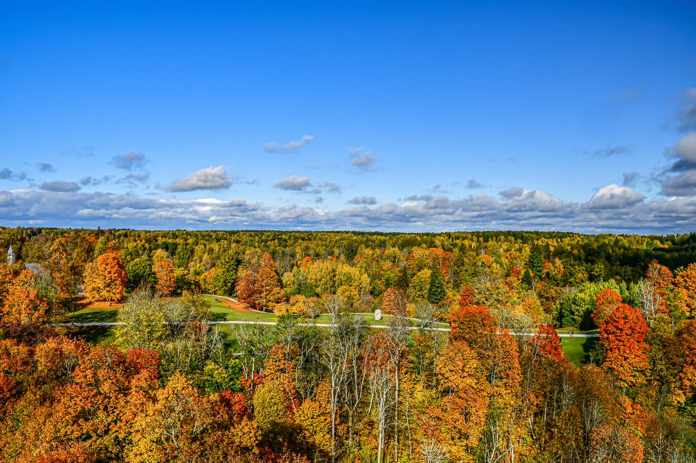 Photograph by AVIC A.M.