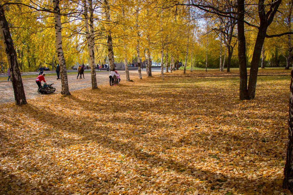 Photograph by Nikita Oshvintsev